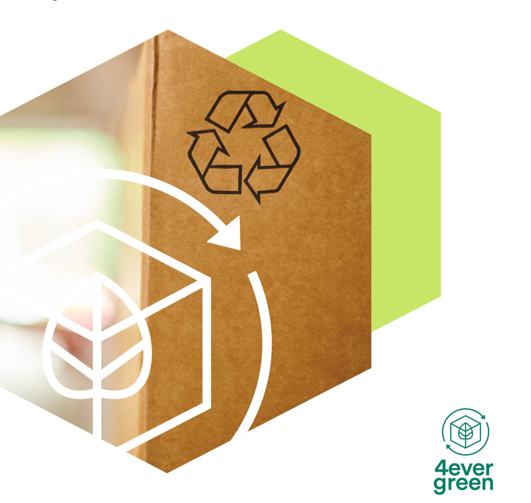 4evergreen-WS-3-scaled-e1662029429236