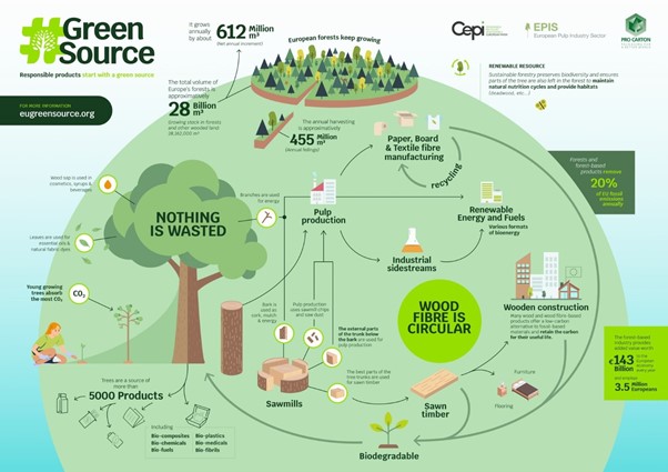 Green Source Infographic
